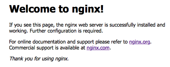 running nginx in docker